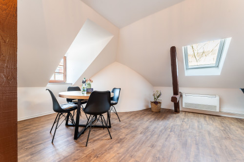 Charming top-floor apartment near the Elbe - Gallery - 28