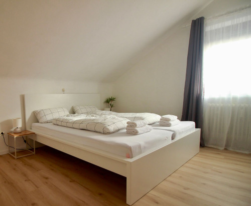 Beautiful & stylish apartment in Villingen-Schwenningen - Gallery - 9
