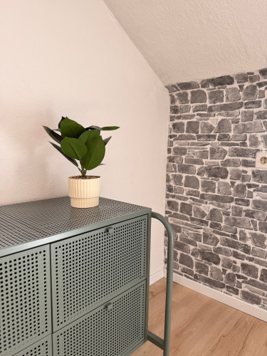 Beautiful & stylish apartment in Villingen-Schwenningen - Gallery - 6