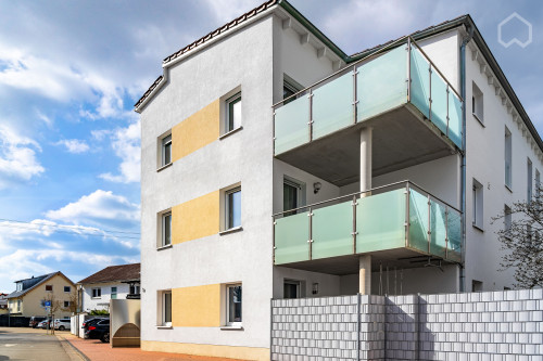 Modern gorgeous home in Leimen