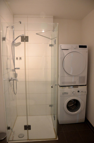 Awesome & spacious suite located in Mühlheim am Main - Gallery - 14