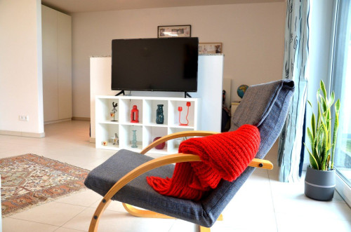 Awesome & spacious suite located in Mühlheim am Main