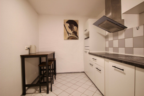 Well-maintained & beautiful apartment in Villingen-Schwenningen - Gallery - 28