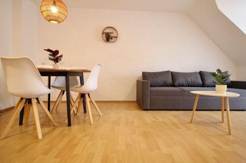 Well-maintained & beautiful apartment in Villingen-Schwenningen - Gallery - 25