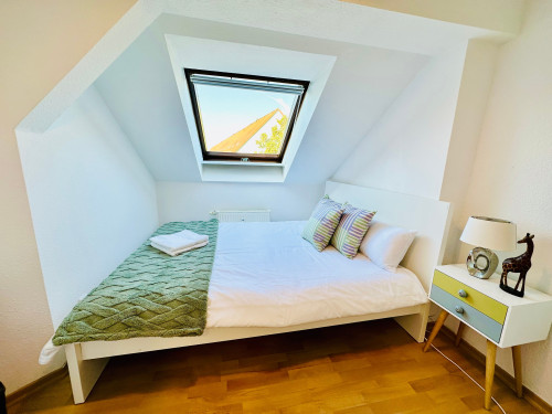 Loft apartment Südvorstadt near Karl-Liebknecht-Straße