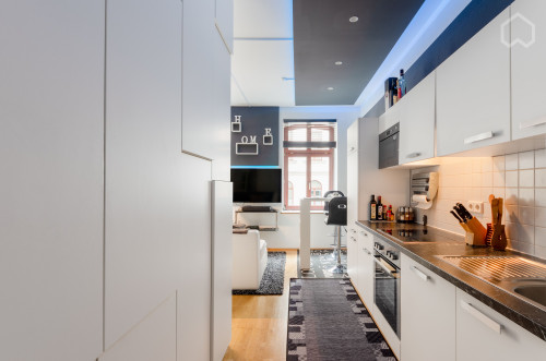 STUDIO IZ21 - Awesome Furnished apartment Leipzig-City between St.Thomas Church and Arena - Gallery - 5