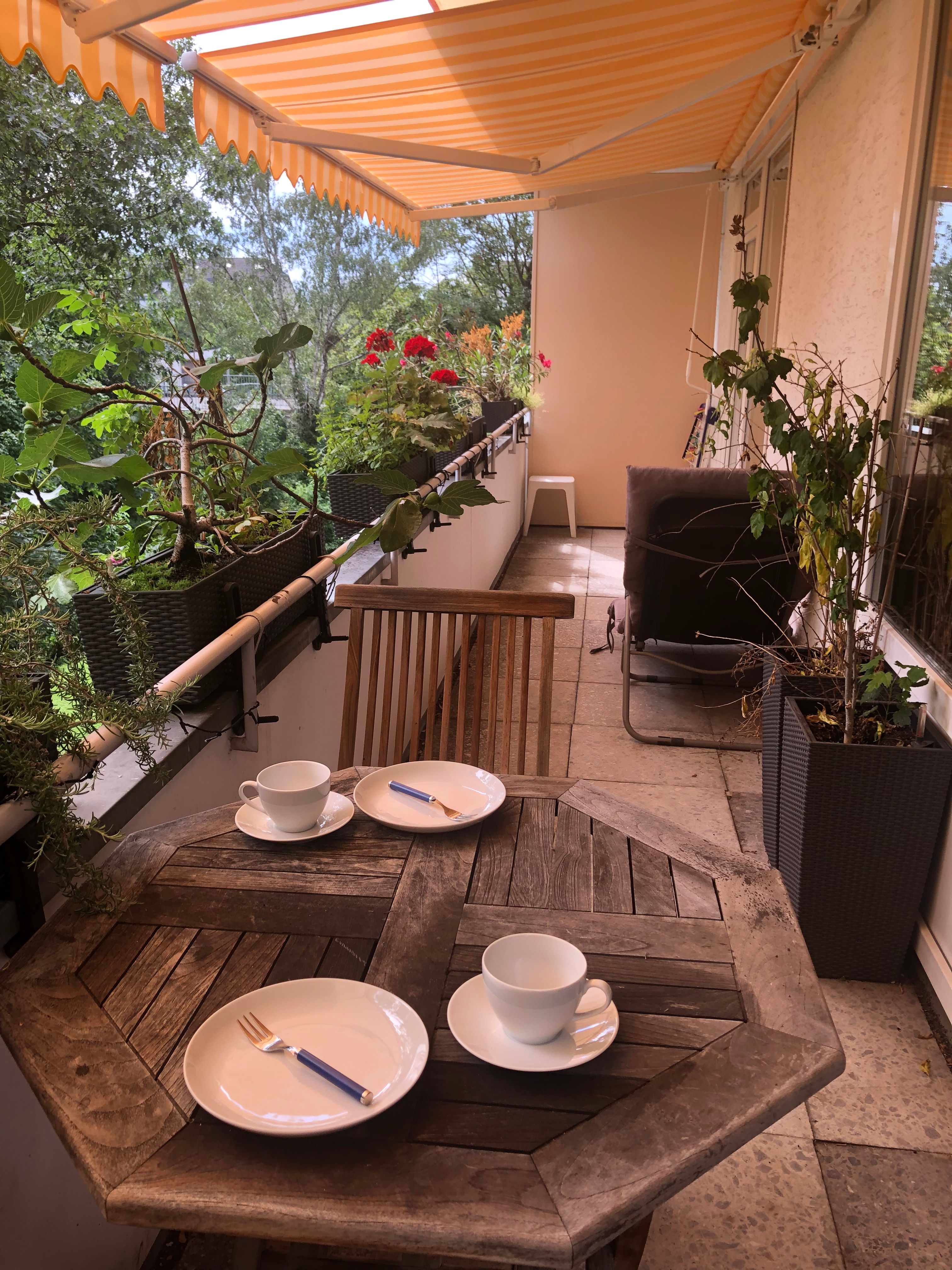  Fantastic And Amazing Suite In Bonn Great & Homely Apartment In The Heart Of Bonn (Beuel), Rhine And  -  Fantastic and amazing suite in Bonn Great & homely apartment in the heart of Bonn (Beuel), Rhine and the center of Bonn are on the doorstep  - Gallery -  7