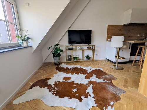 Charming loft in city center of Erlangen