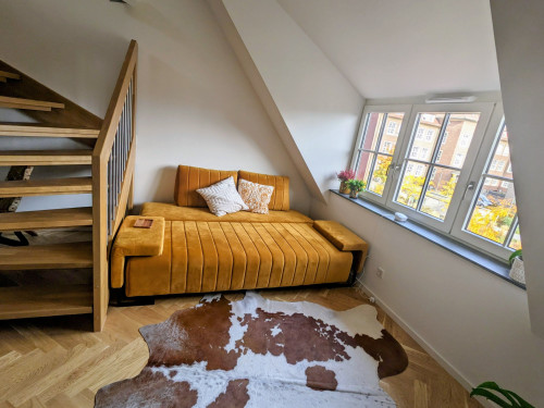 Charming loft in city center of Erlangen