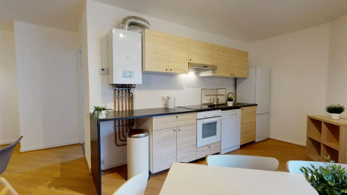 Avenue Antoine Dutriévoz, Villeurbanne - Gallery - 7