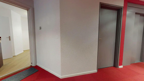 Avenue Antoine Dutriévoz, Villeurbanne - Gallery - 8
