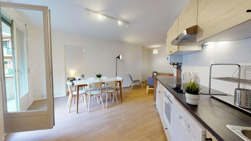Avenue Antoine Dutriévoz, Villeurbanne - Gallery - 6