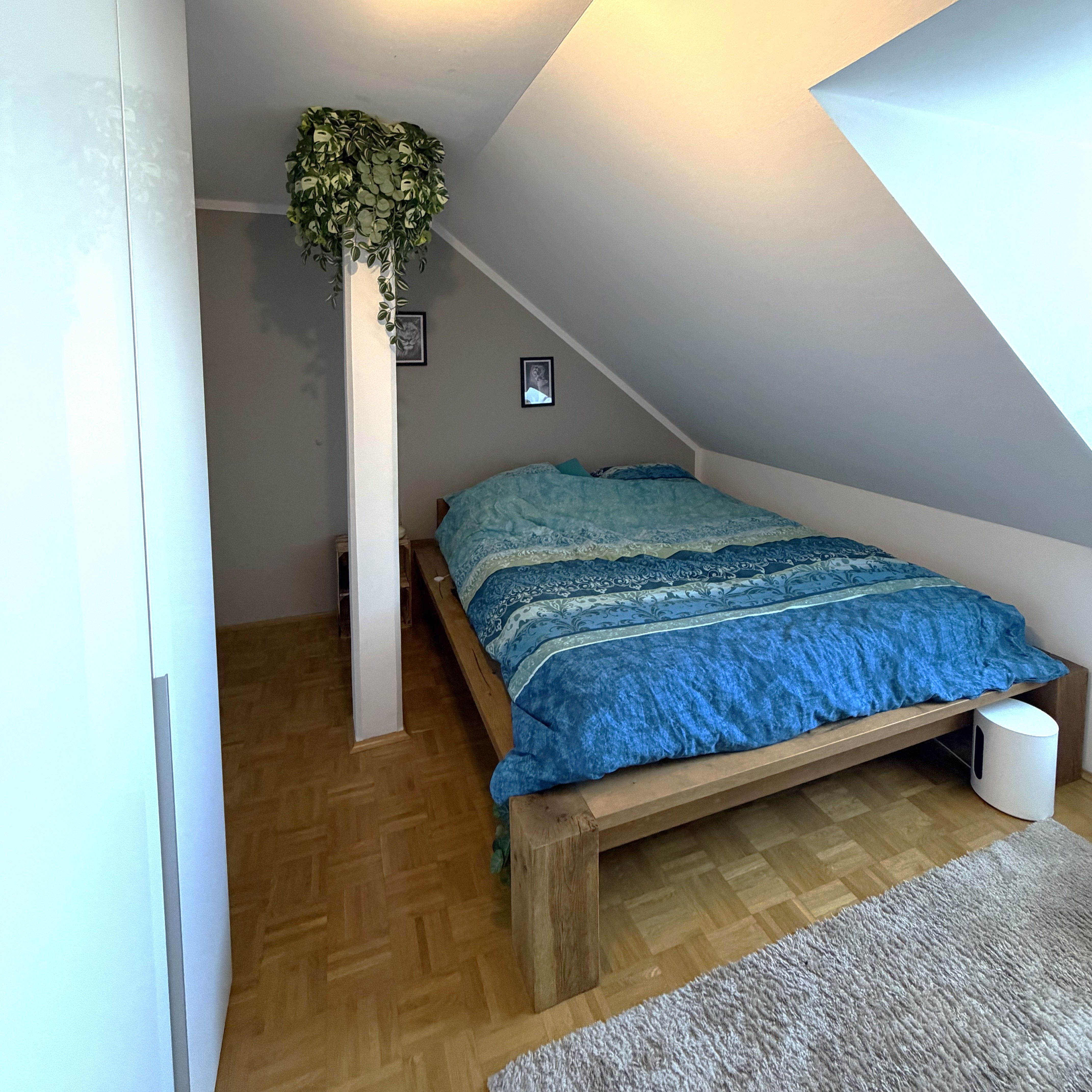Amazing & Beautiful Loft, Dresden - 12