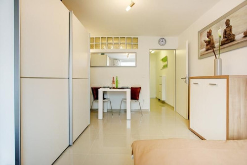 Very nice furnished 1.0 room apartment / in Munich Maxvorstadt
