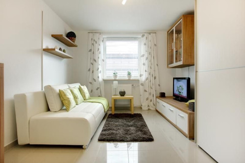 Very nice furnished 1.0 room apartment / in Munich Maxvorstadt