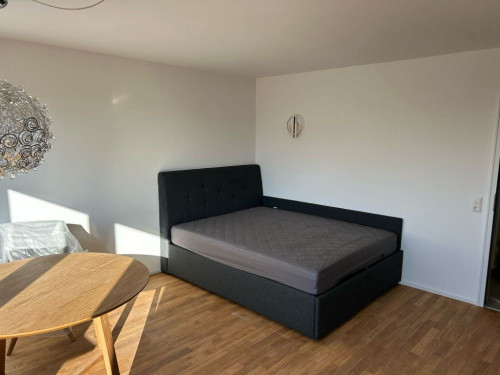 Exclusive business flat with roof terrace - fully furnished & ready for immediate occupancy - Gallery - 2