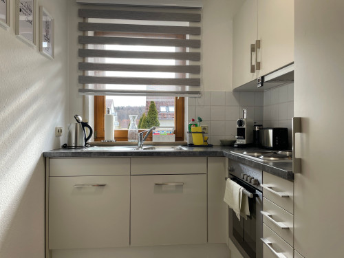 Quiet, cozy suite in popular area (Renningen) - Gallery - 16