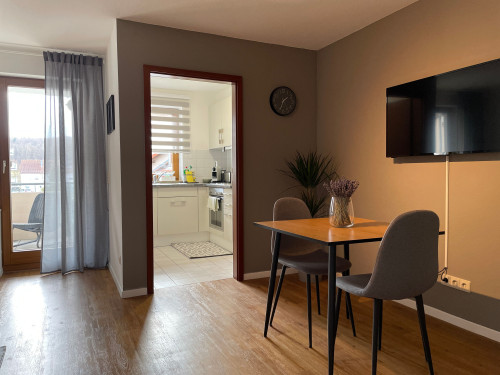 Quiet, cozy suite in popular area (Renningen) - Gallery - 9