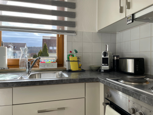 Quiet, cozy suite in popular area (Renningen) - Gallery - 15