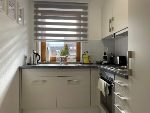 Quiet, cozy suite in popular area (Renningen) - Gallery - 17
