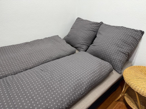 Lovely & cozy apartment close to Sartorius, Göttingen - Gallery - 8