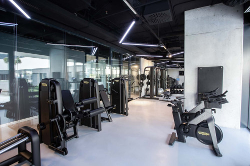 Estudio privado en Granada