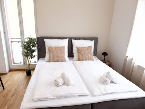 City Apartment with Parking – Close to Europa-Park & Strasbourg