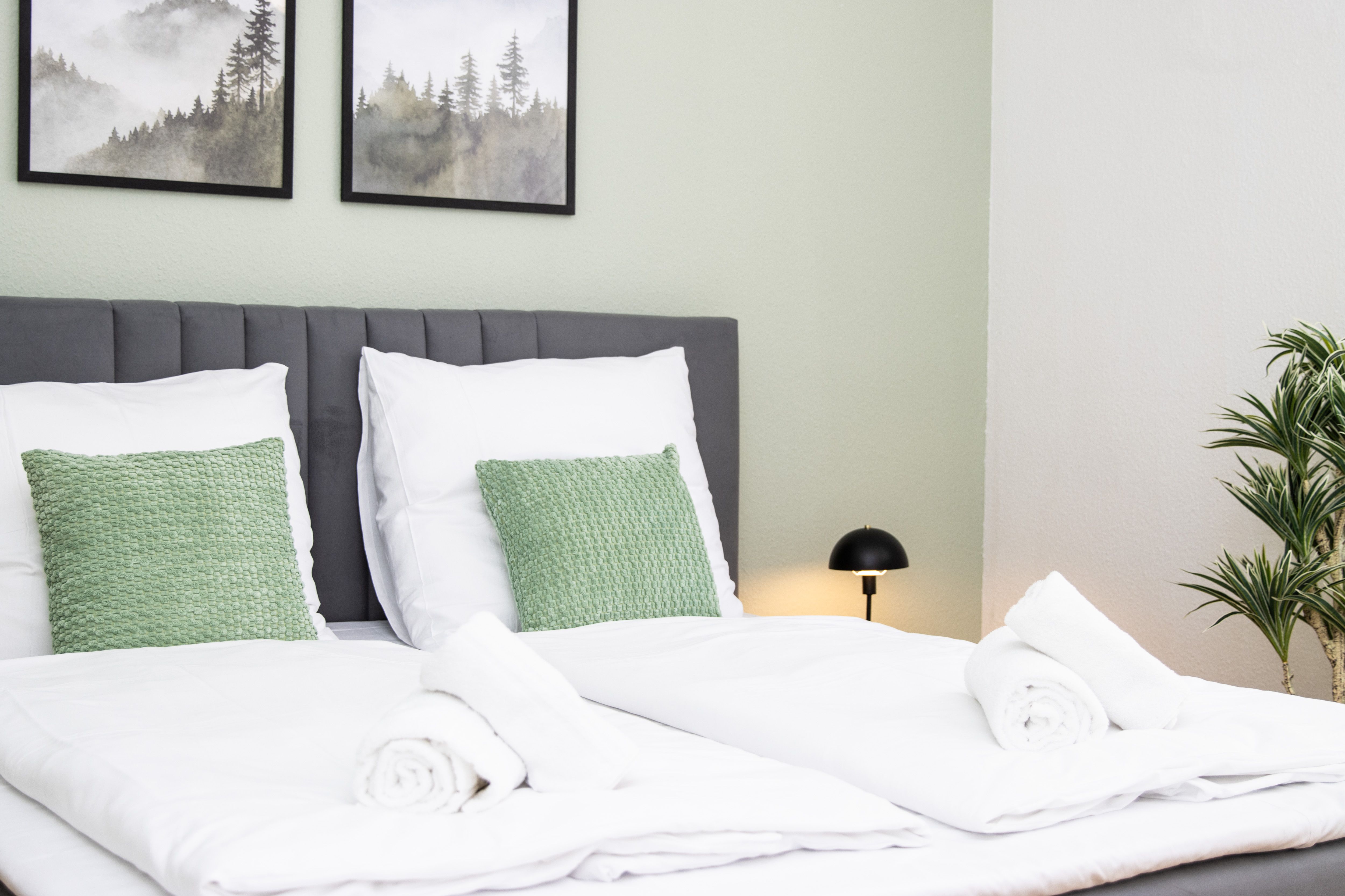  City Apartment With Parking – Close To Europa-Park & Strasbourg  -  City Apartment with Parking – Close to Europa-Park & Strasbourg  - Gallery -  17