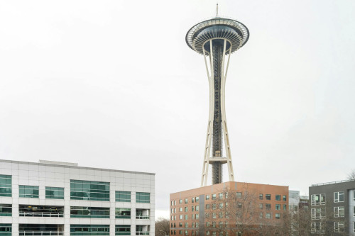 Taylor Avenue North, Seattle, WA - Gallery - 5