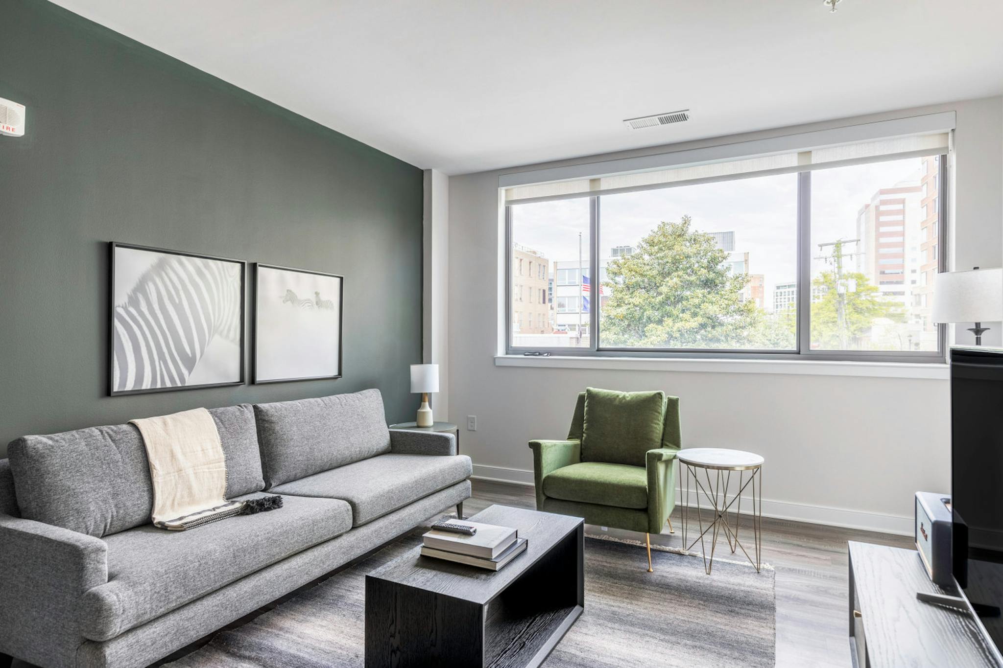 Entire Place - 10th Street North, Arlington, VA - Gallery - 1