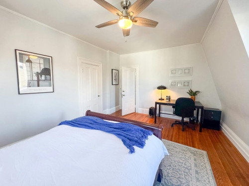Cypress St, Brookline, MA - Gallery - 10