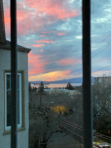 Hilgard Ave, Berkeley, CA - Gallery - 6