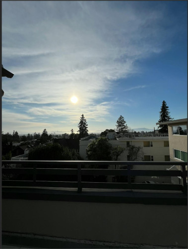 Channing Way, Berkeley, CA  - Gallery -  5