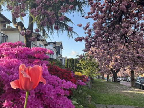 Vancouver Homestay