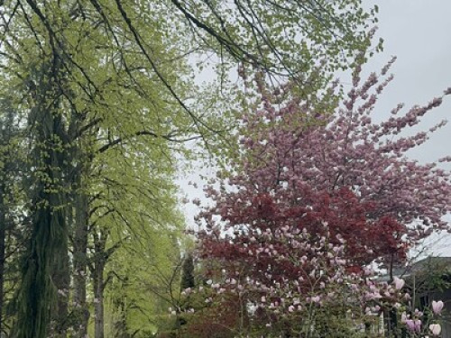 Vancouver Homestay - Gallery - 9