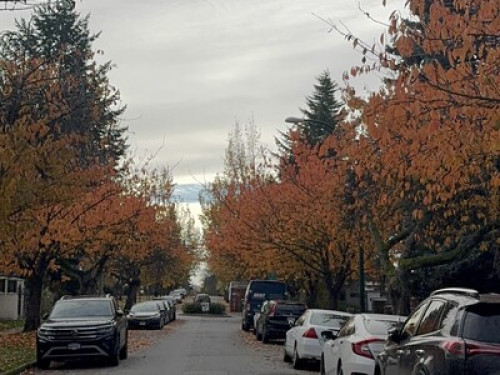 Vancouver Homestay - Gallery - 7