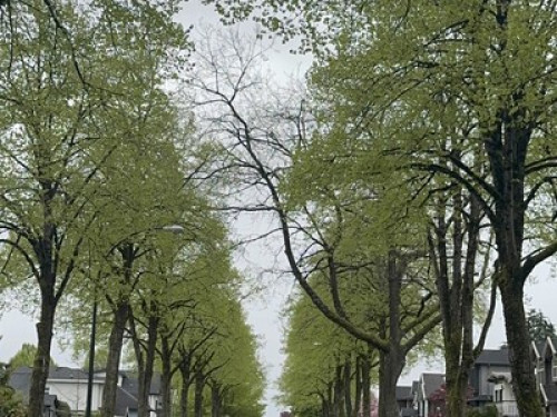 Vancouver Homestay
