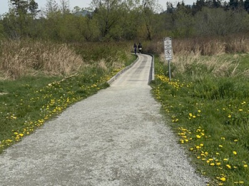 Vancouver Homestay - Gallery - 5