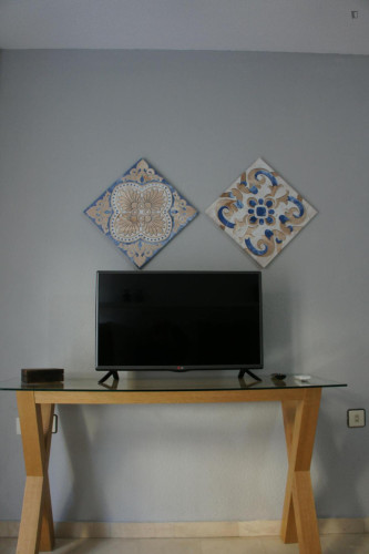 Charming 1-bedroom flat in the heart of Granada