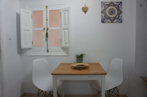 Charming 1-bedroom flat in the heart of Granada - Gallery - 8