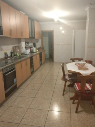 Fascinating 5 Bedroom Apartment with a balcony close to Bragança Castle - Gallery - 16