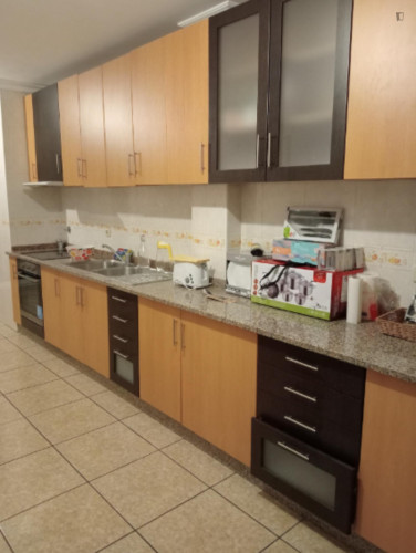 Fascinating 5 Bedroom Apartment with a balcony close to Bragança Castle - Gallery - 13