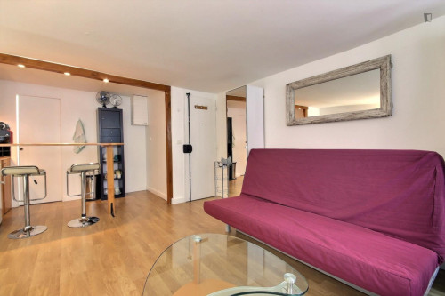 Snug studio in the 6th arrondissement