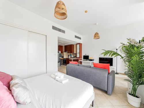 Regent Home - Gallery - 7