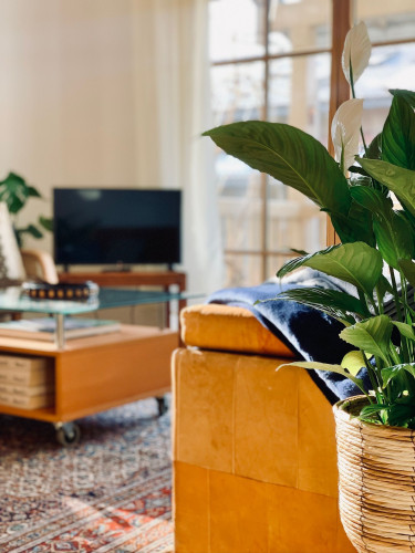 Quiet sunny apartment not far from Agatharied Hospital - Gallery - 19