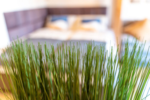 Golden Nugget Detmold Free Wifi Free Parking - Gallery - 10