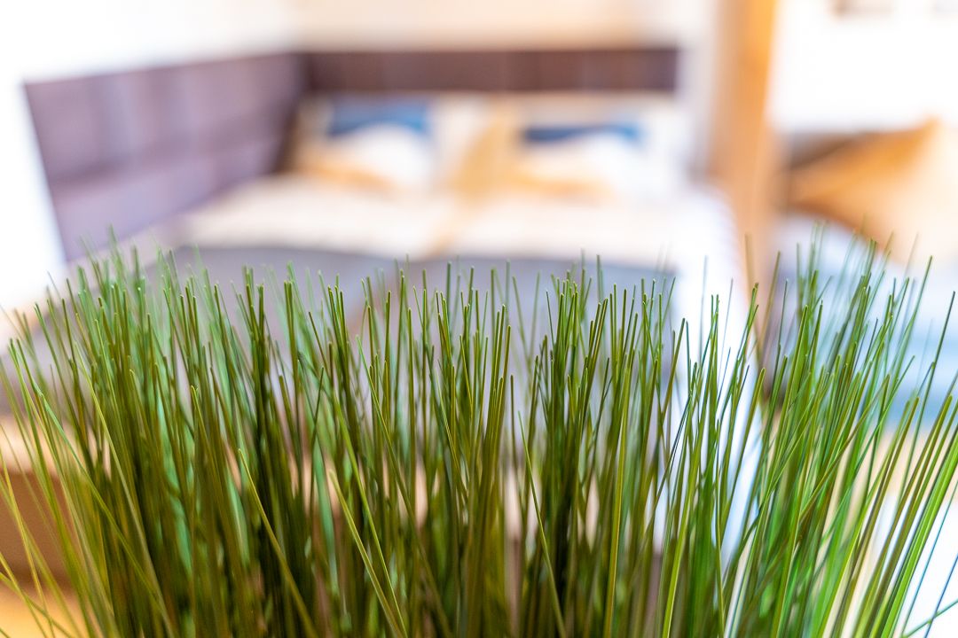  Golden Nugget Detmold Free Wifi Free Parking  -  Golden Nugget Detmold Free Wifi Free Parking  - Gallery -  9