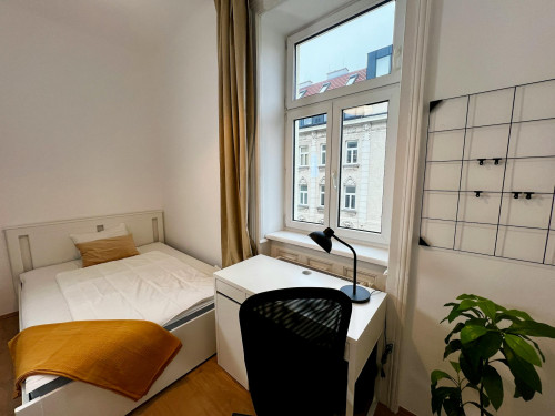 Reinprechtsdorfer Straße, Vienna