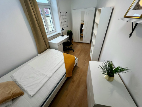 Reinprechtsdorfer Straße, Vienna  - Gallery -  5