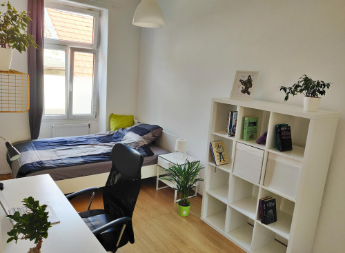 Stuwerstraße, Vienna